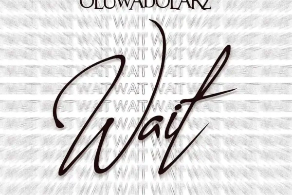Oluwadolarz – Wait Download